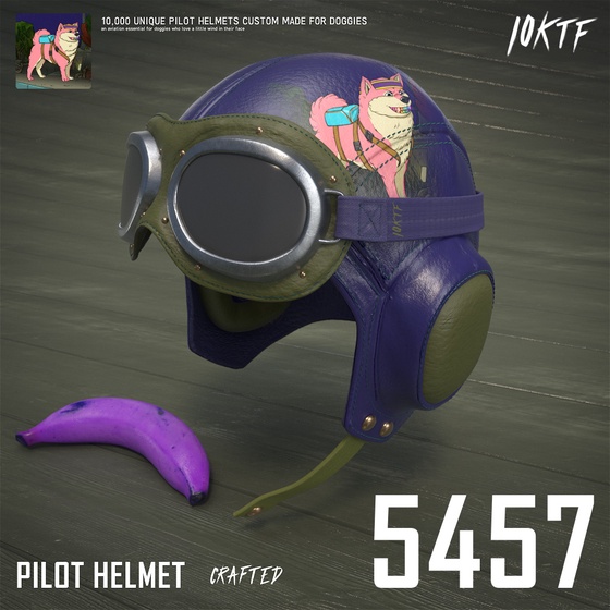 Kennel Pilot Helmet #5457