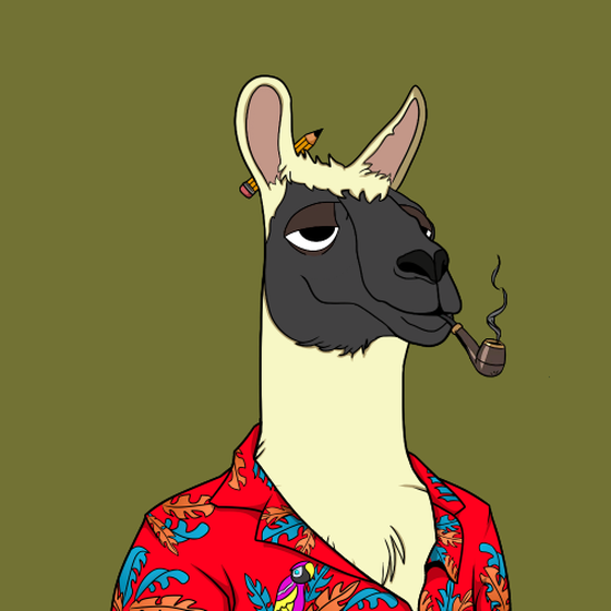 OKay Llama Yacht Club #3677