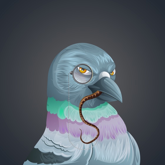 #1220 Pigeon