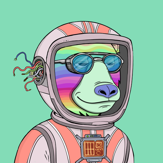 Okay Space Bear #2608