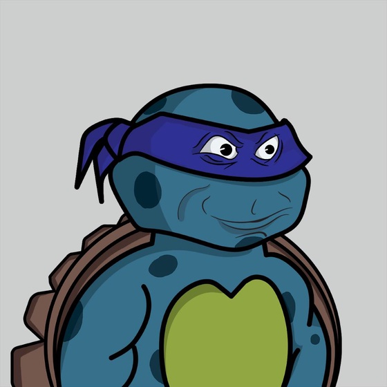 Degen Ninja Turtle #5111