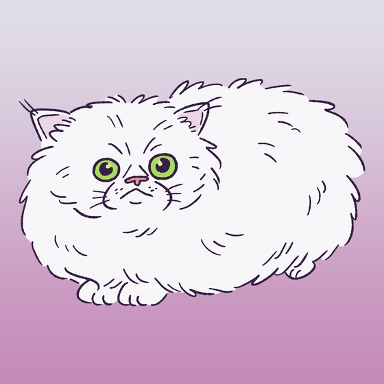 Persian Cat #1216