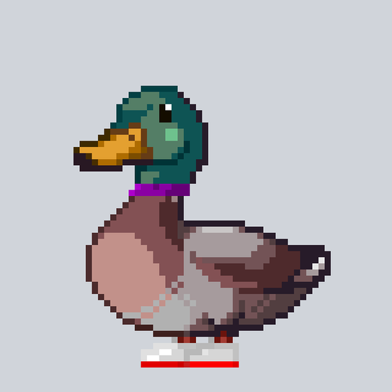 Mallard #6458