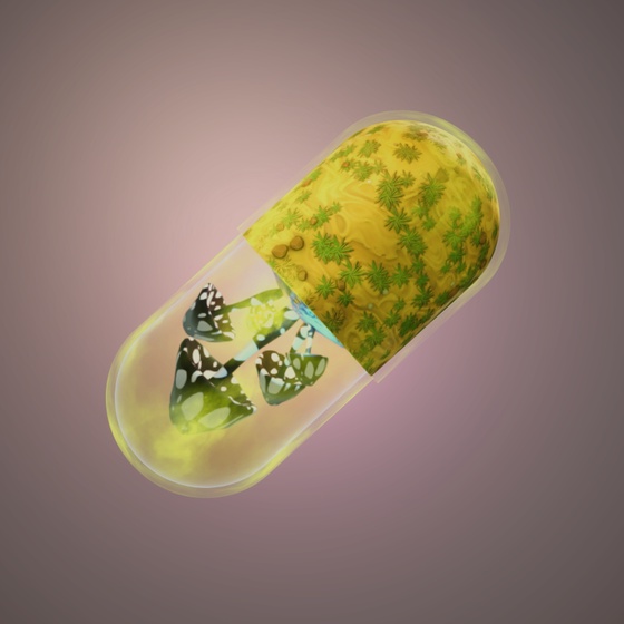 BYOPILL 3048