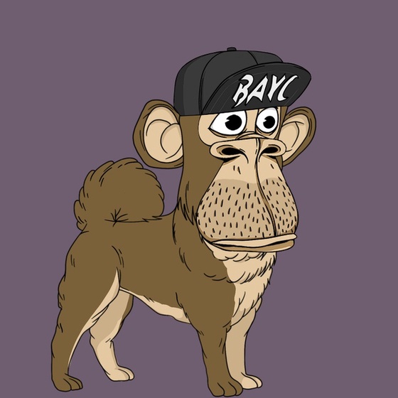 Kennel Ape #8749