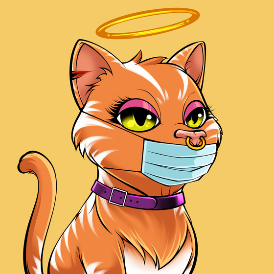 Cat #2834
