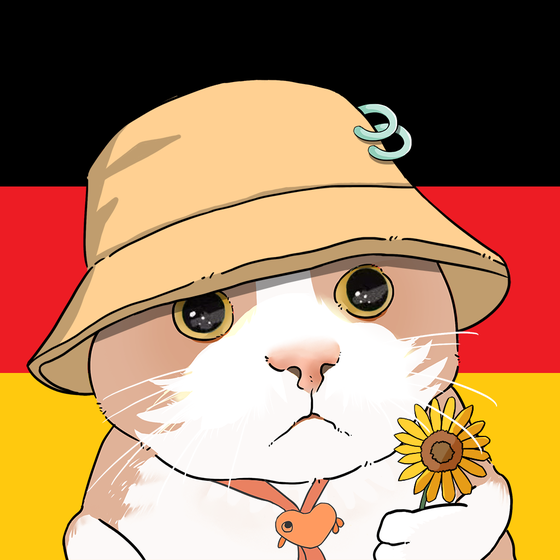 Puzzled cat #4675