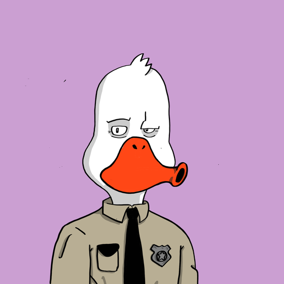 Duck #293