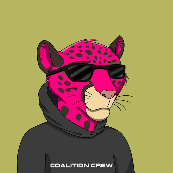 Coalition Crew 2.0 #1343
