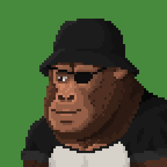 GORILLABYTE_203