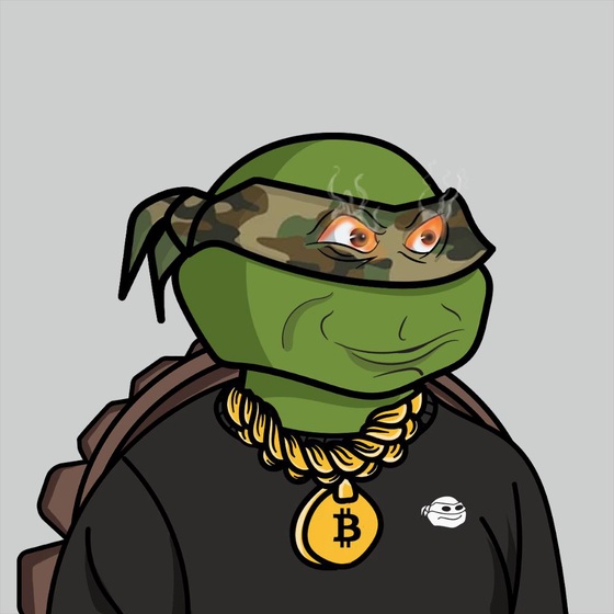 Degen Ninja Turtle #4871