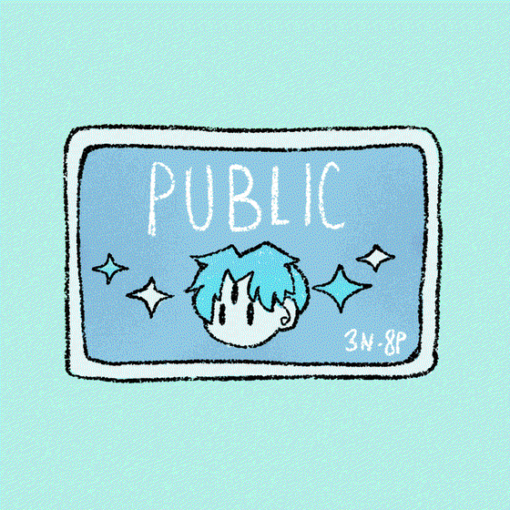 3N-8P PUBLIC PASS