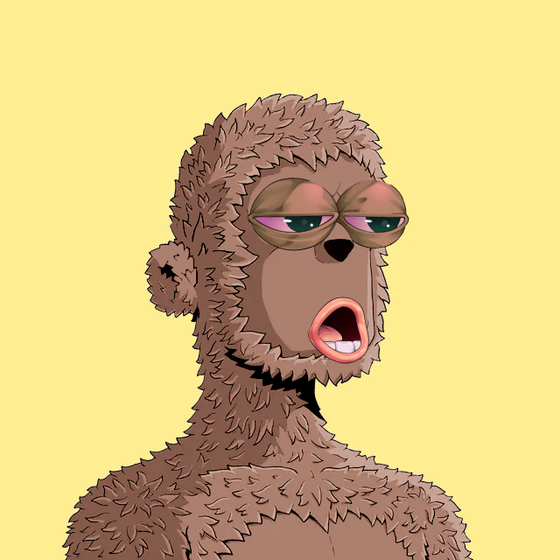 P3p3 Y00ts #5789