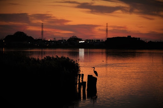 Lake Sanaru night