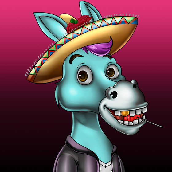 Sombrero Donkey #2056