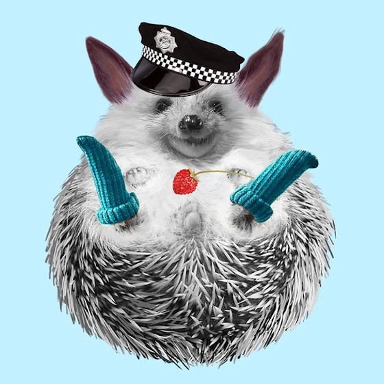 Hedgehog #292