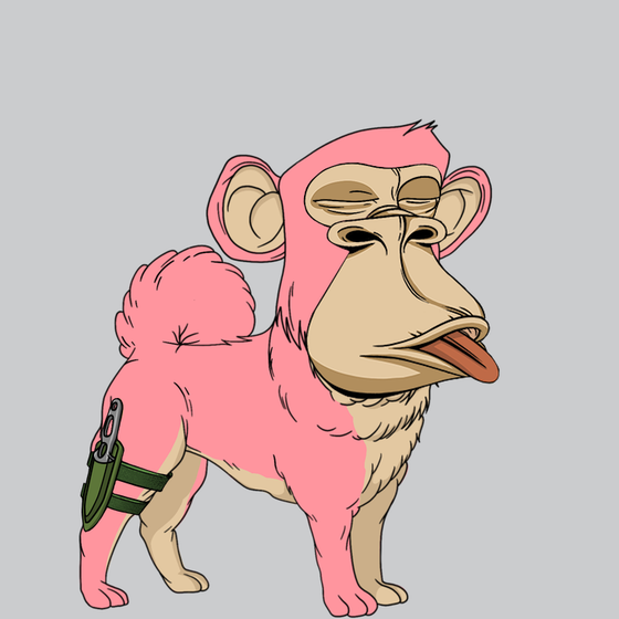 Kennel Ape #3553