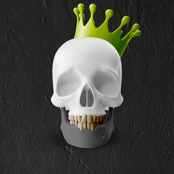 Skull #608