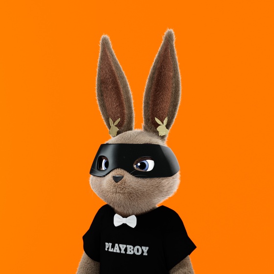 Rabbitar #2498