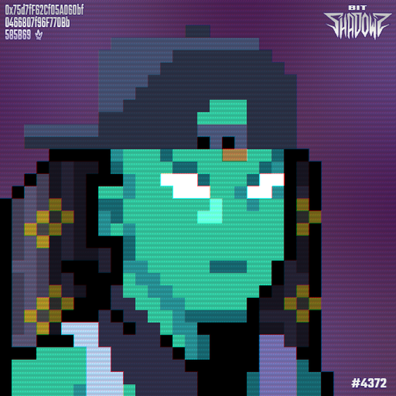 BITSHADOWZ #4372