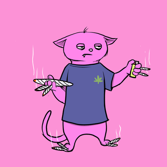 Blazed Cat #7441