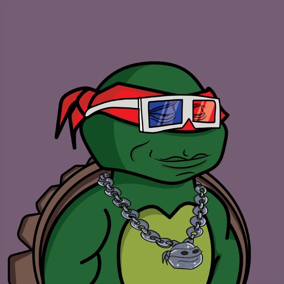 Degen Ninja Turtle #4609