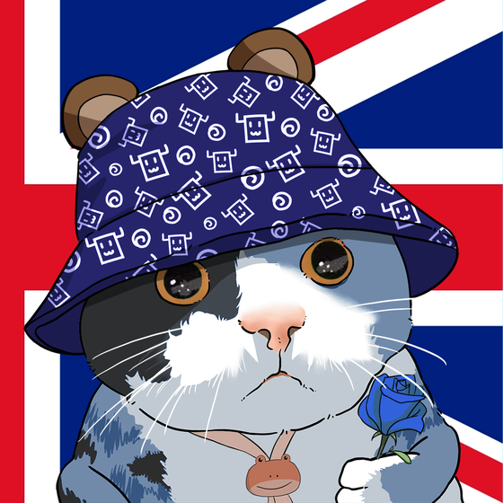 Puzzled cat #9593