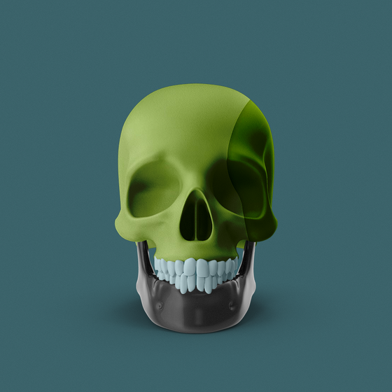 Skull #258