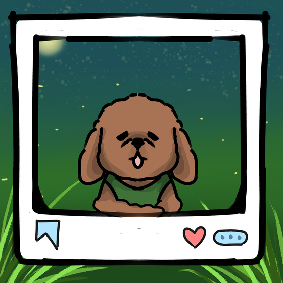 旅する犬 #75