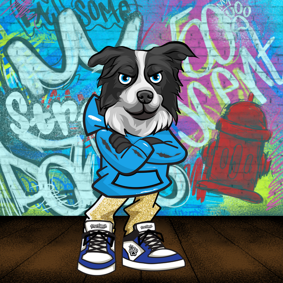 Border Collie 0208