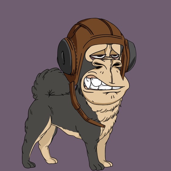 Kennel Ape #8498