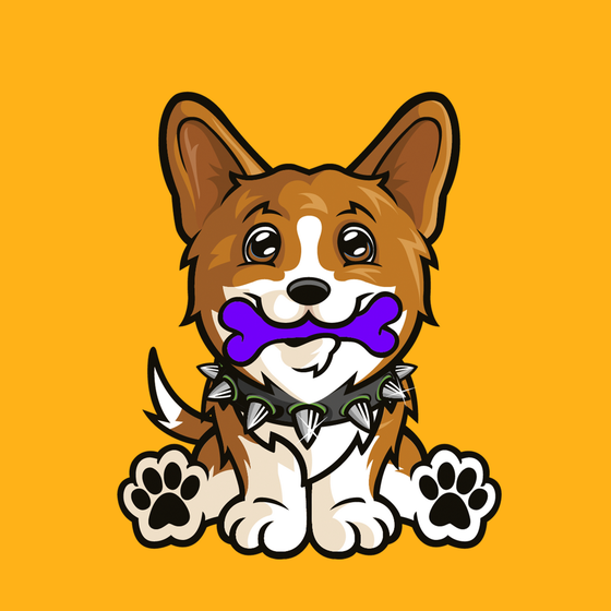 Penbroke Welsh Corgi 0289