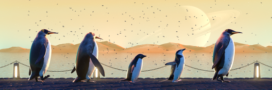 Five Penguins #2630