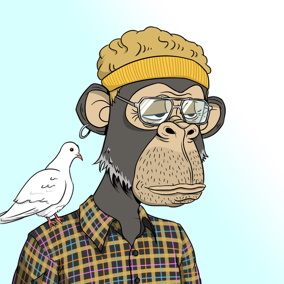 Elderly Ape #2173