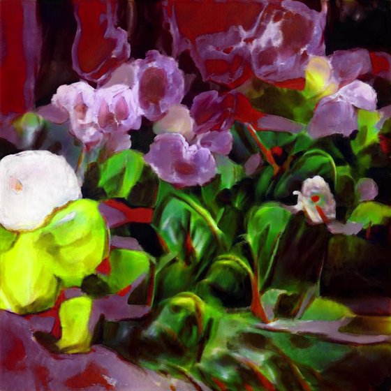 orchids