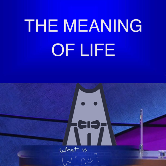 The Meaning of Life