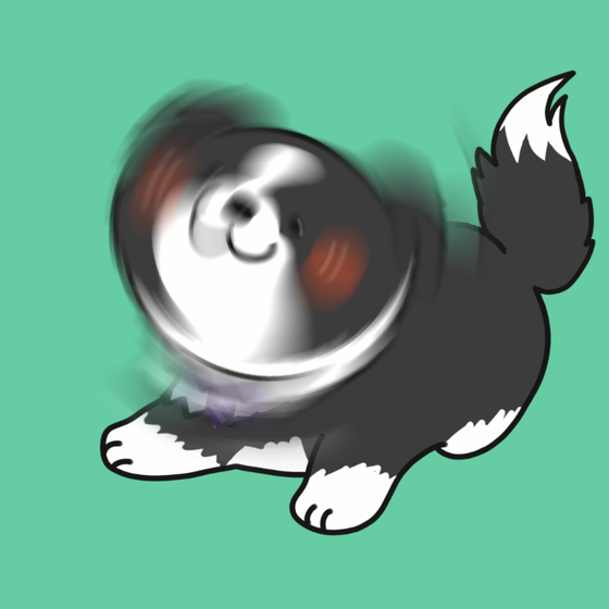 DogDrill#1246
