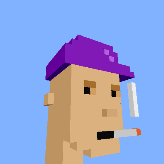 PunkVoxels #2838