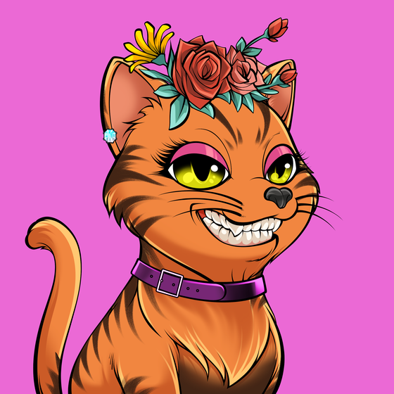Cat #2878