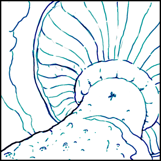 #101