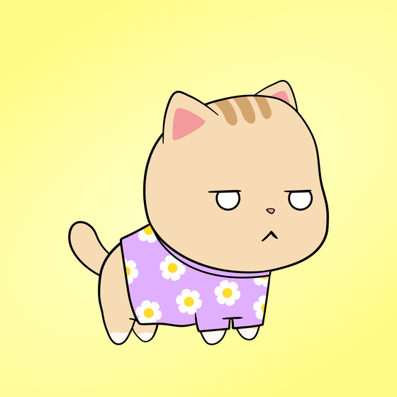 Chubbicat #6260