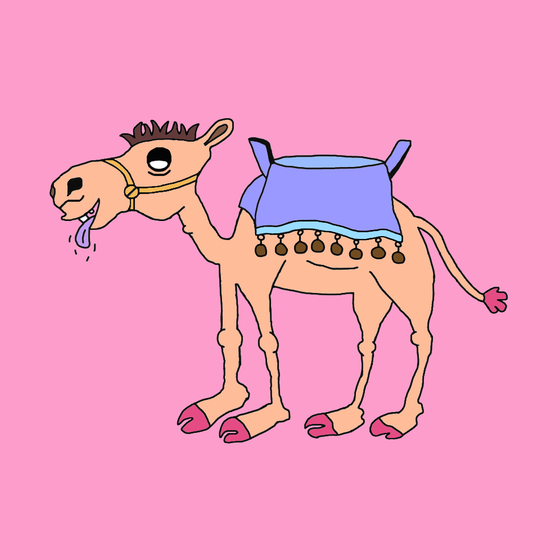 Chilled Camel #67