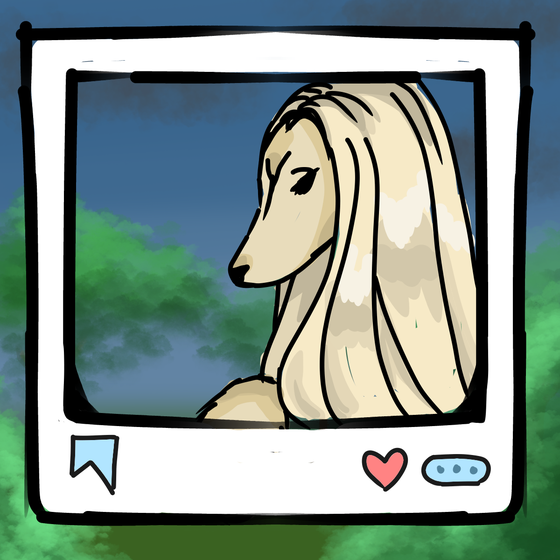 旅する犬 #339