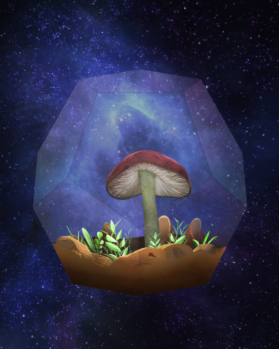 Mushroom #325