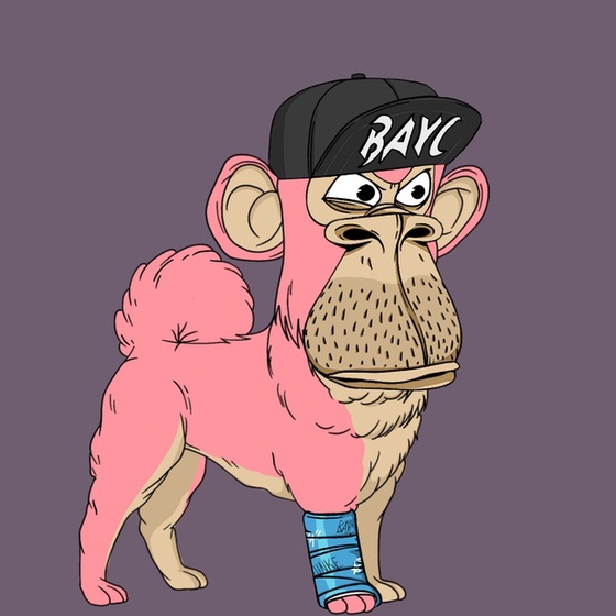 Kennel Ape #6645