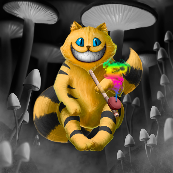 Opium Cheshire cat DNA#0