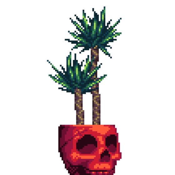 Yucca Palm in Red Skull pot