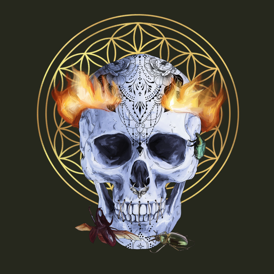 Sacred Skull #6820