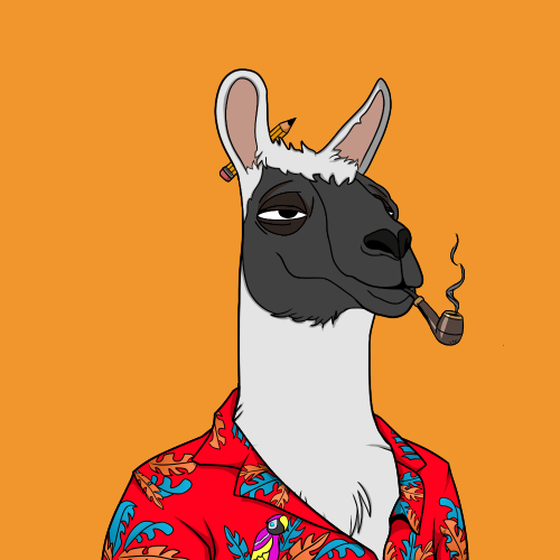 OKay Llama Yacht Club #3642