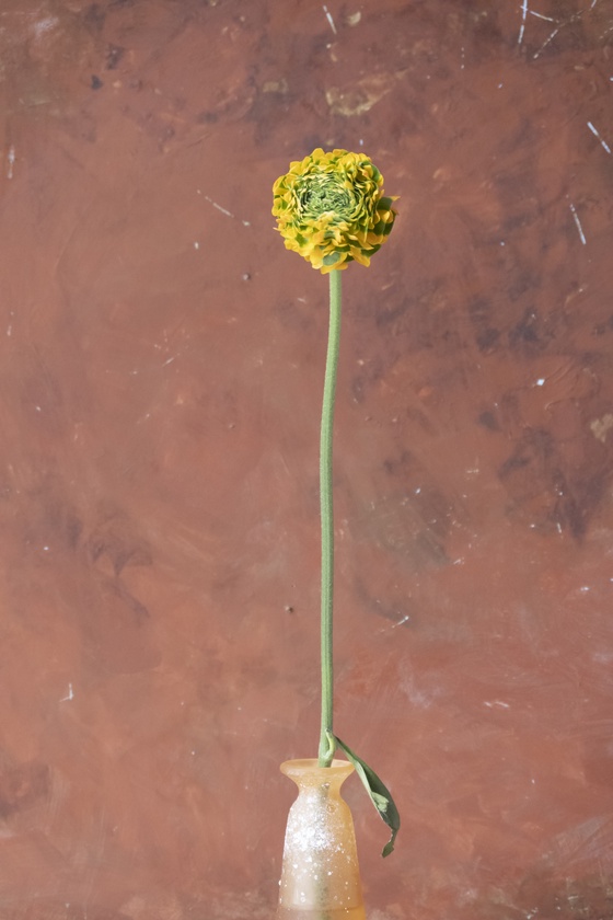 Still Life.4
